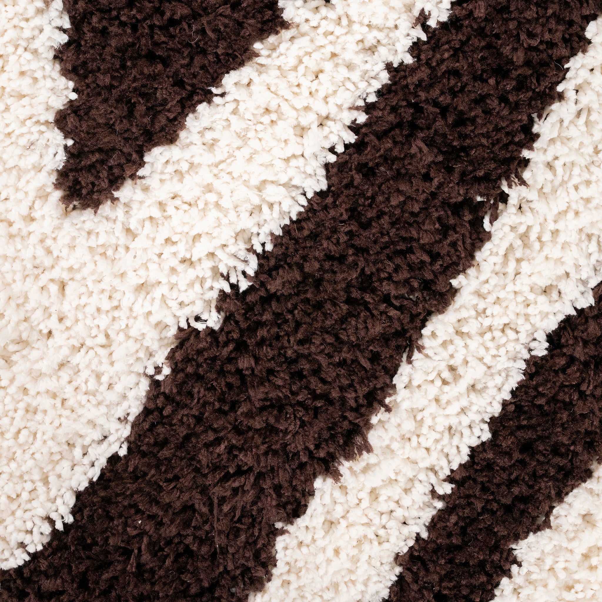 Marty Carpet