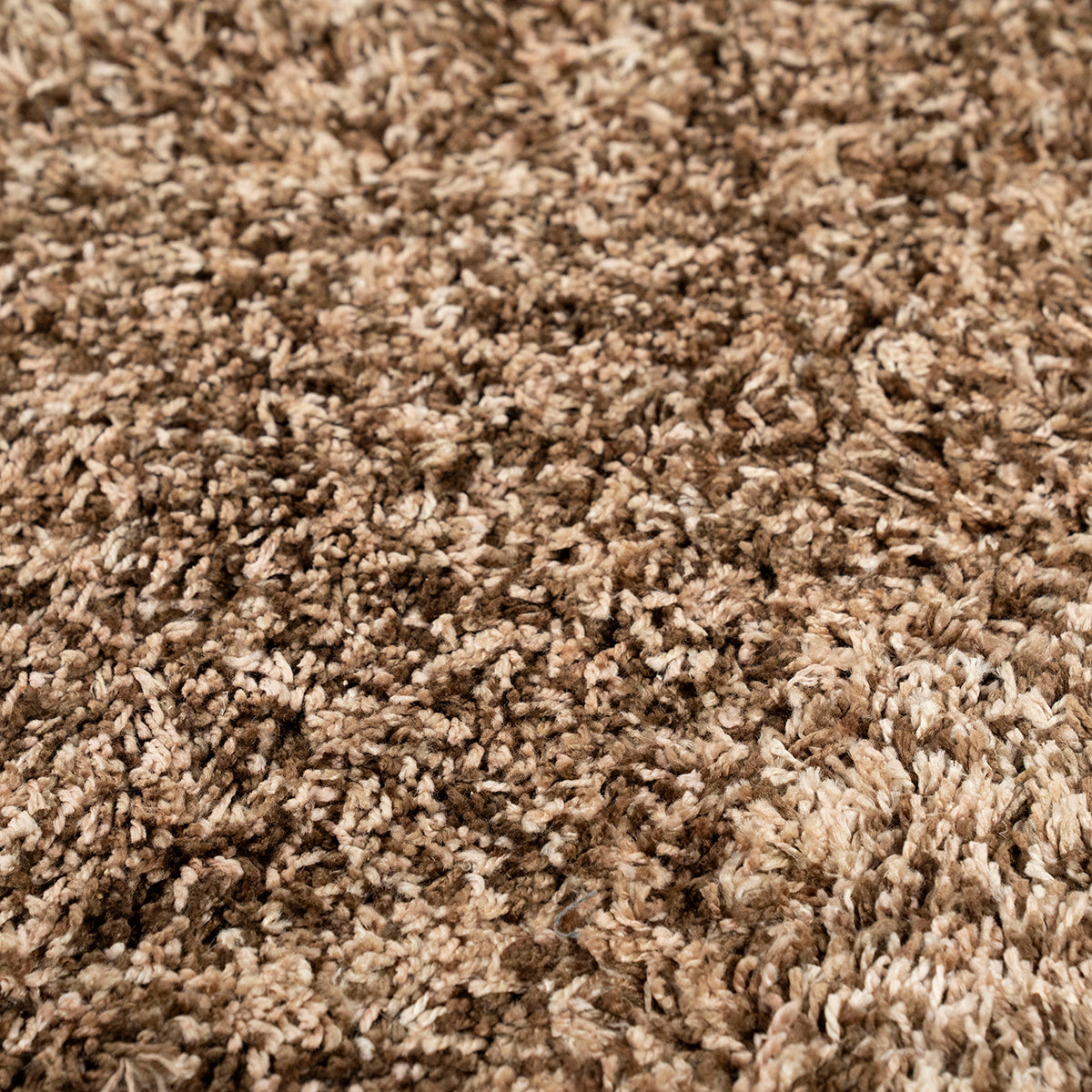 Mixi Carpet