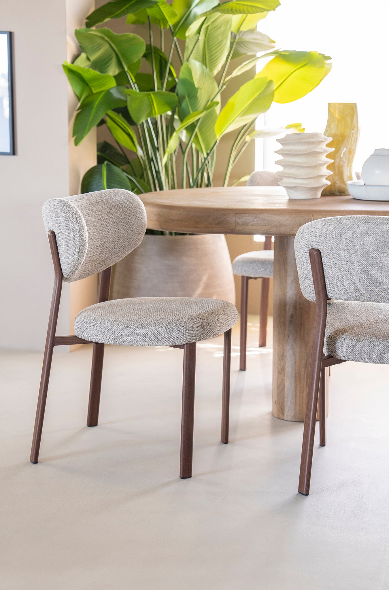 Sedia Chair