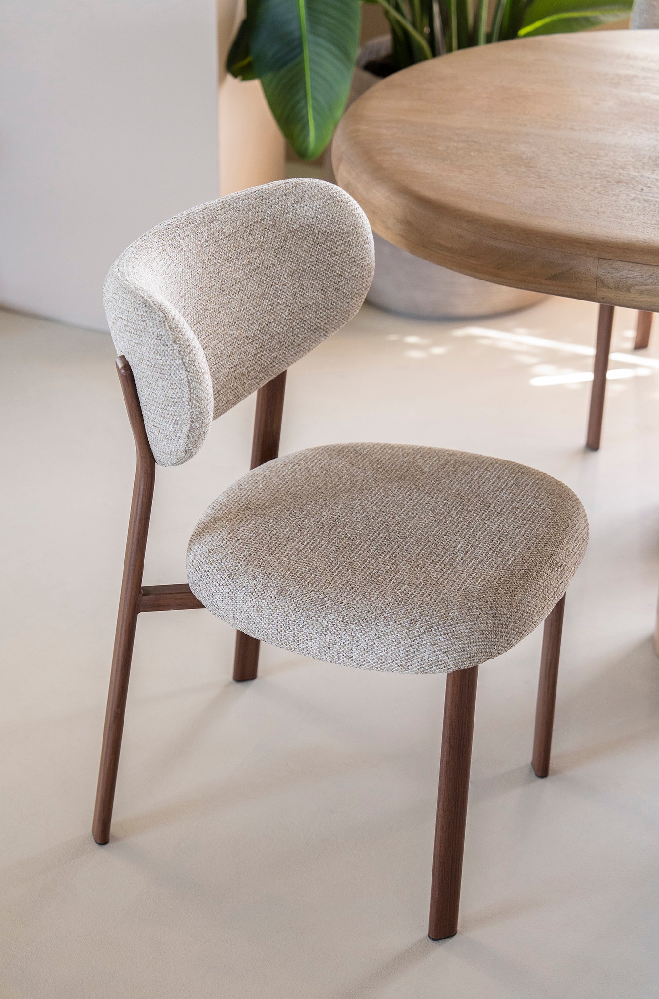 Sedia Chair
