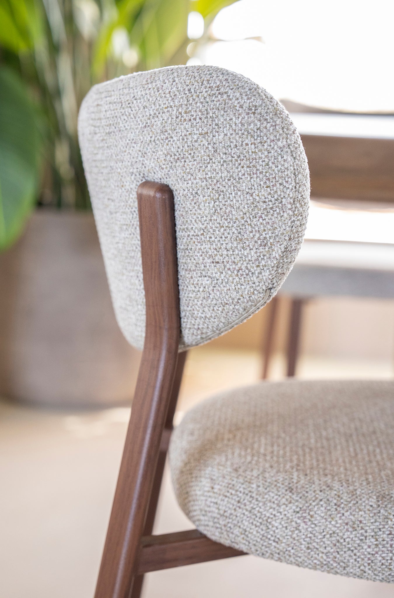 Sedia Chair
