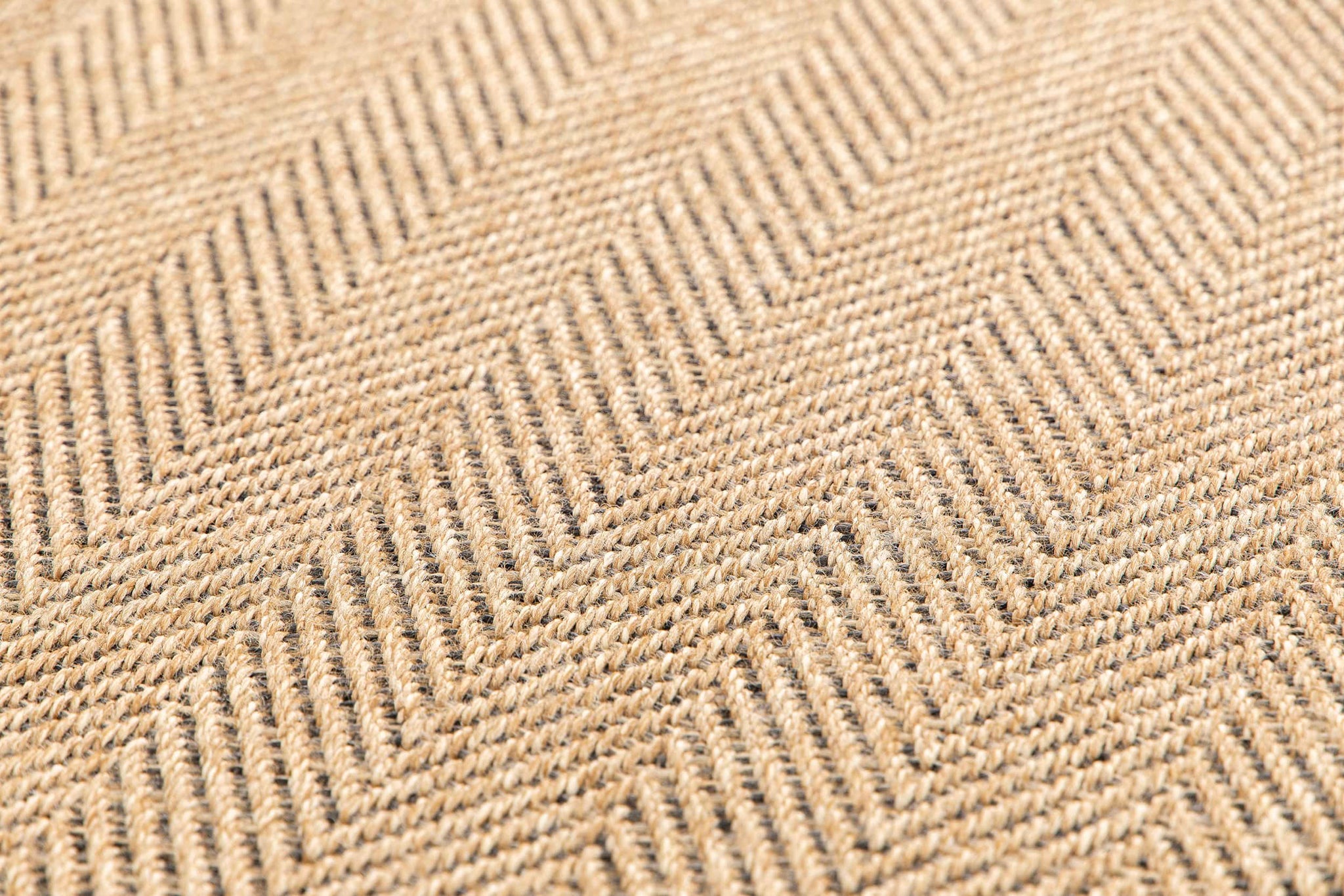 Nomad Carpet