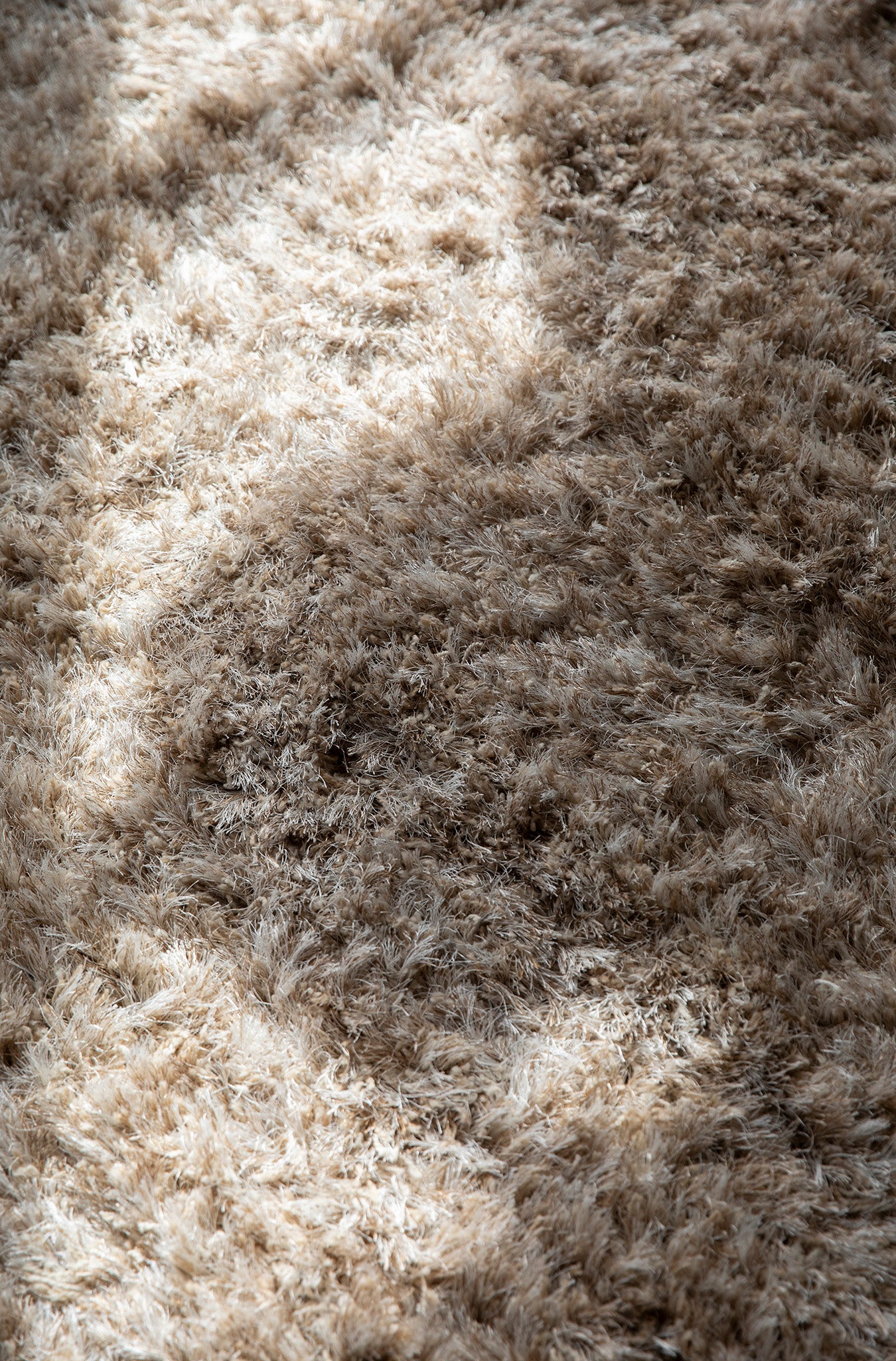 Hairy Carpet
