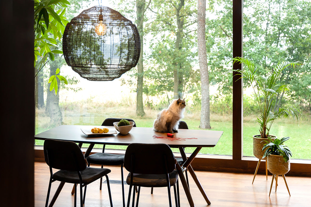 Meezan Pendant Lamp