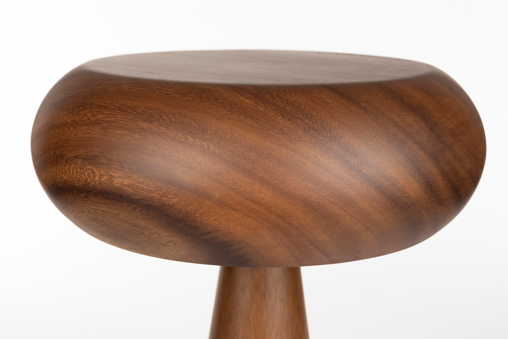 Morel Table Lamp