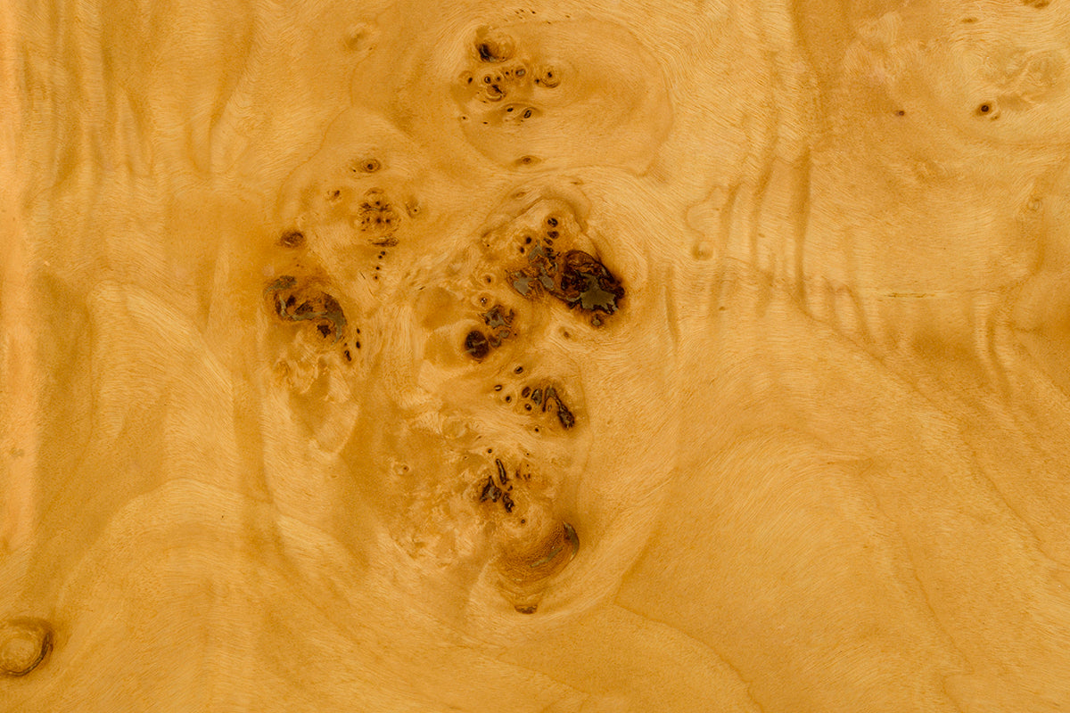 Quinn Coffee Table