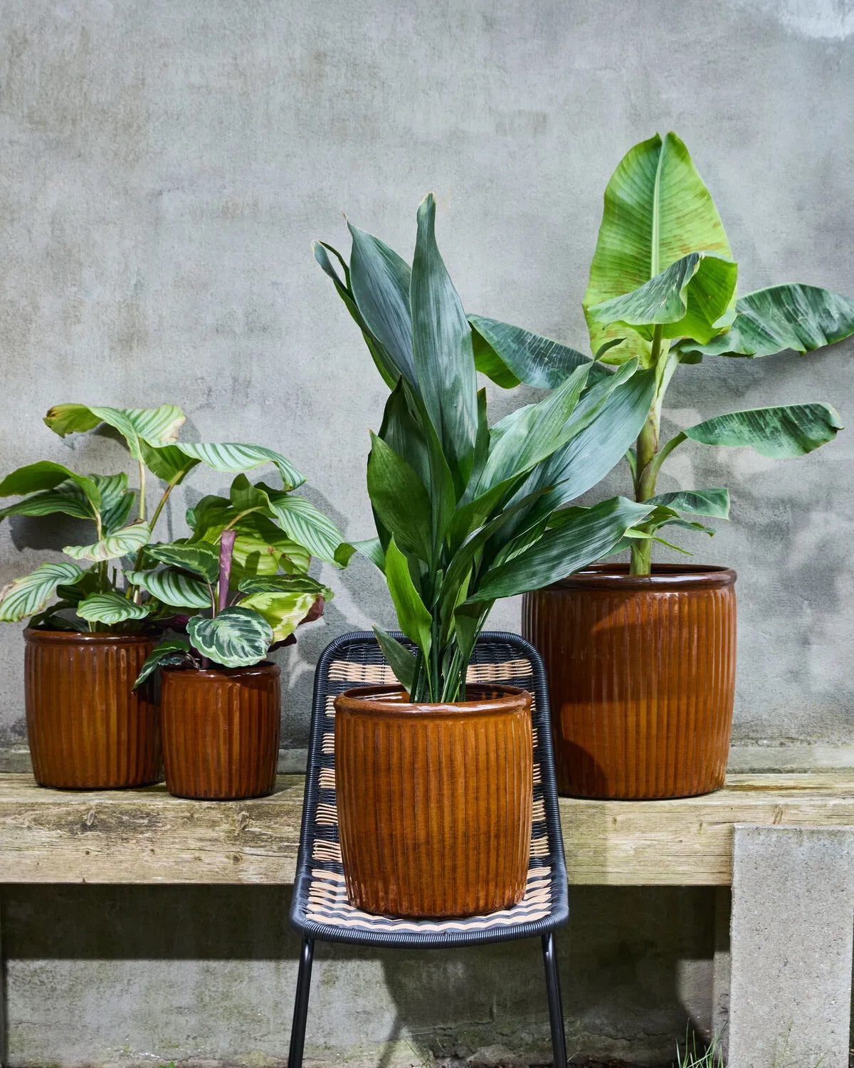 Groove Brown Large Planter (2/Set)