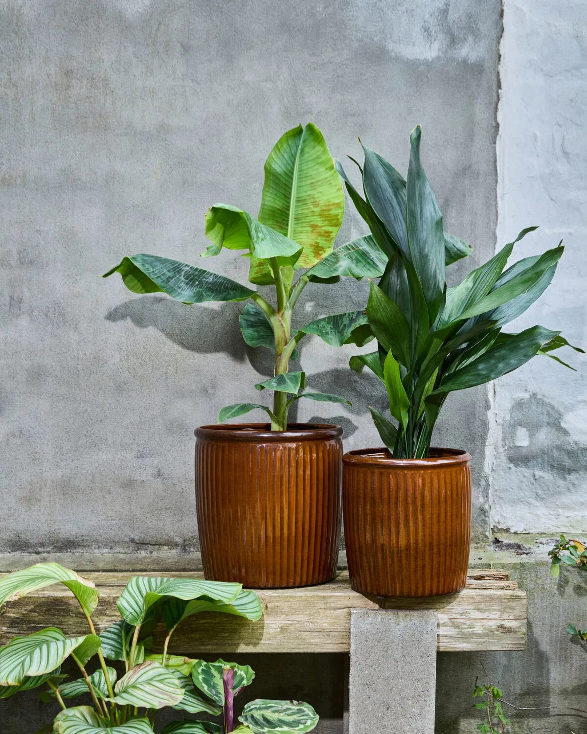 Groove Brown Large Planter (2/Set)