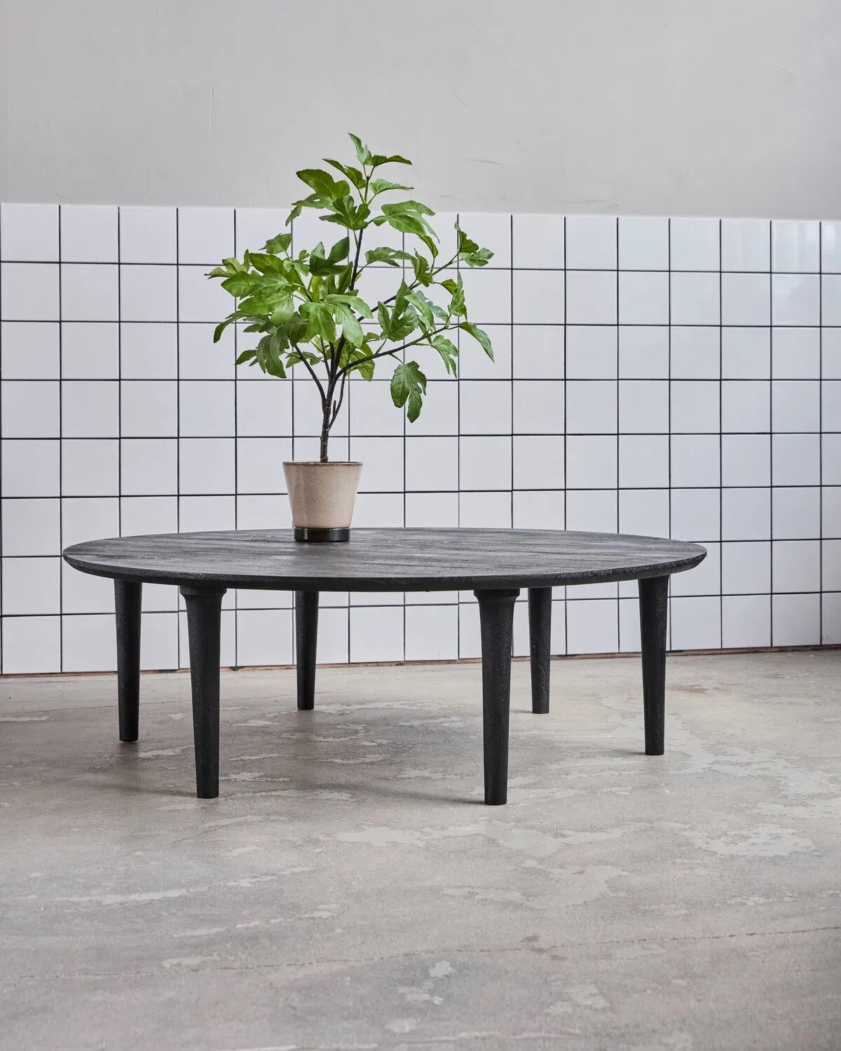 Zanzi Black Coffee Table