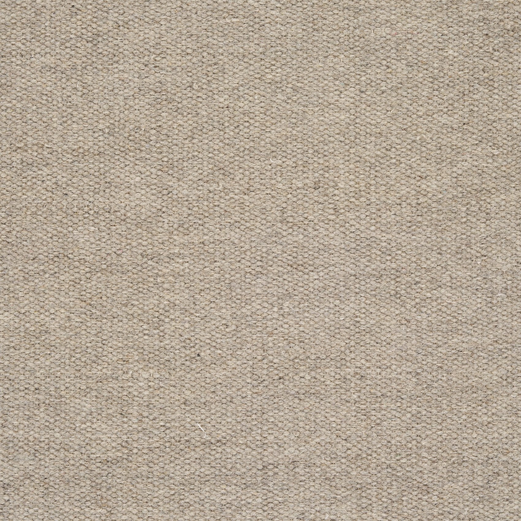 Nila Rug