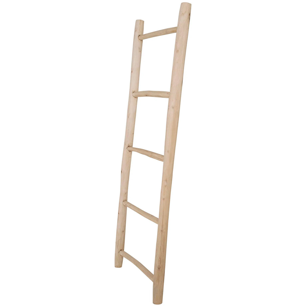Teak Ladder