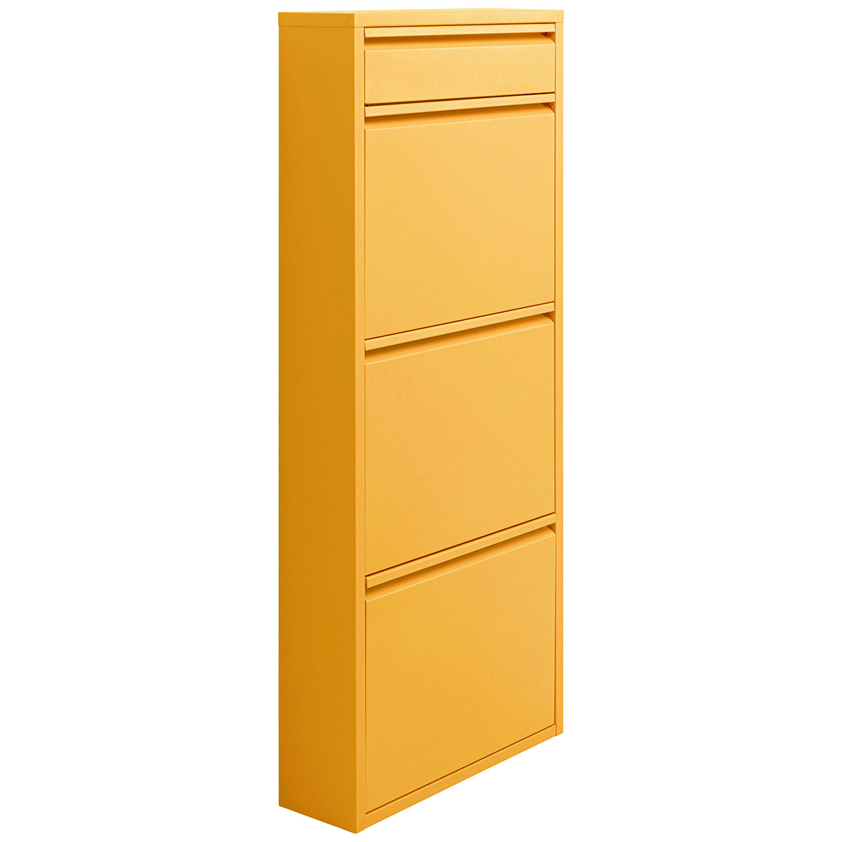 Caruso 3 Plus 1 Shoe Container