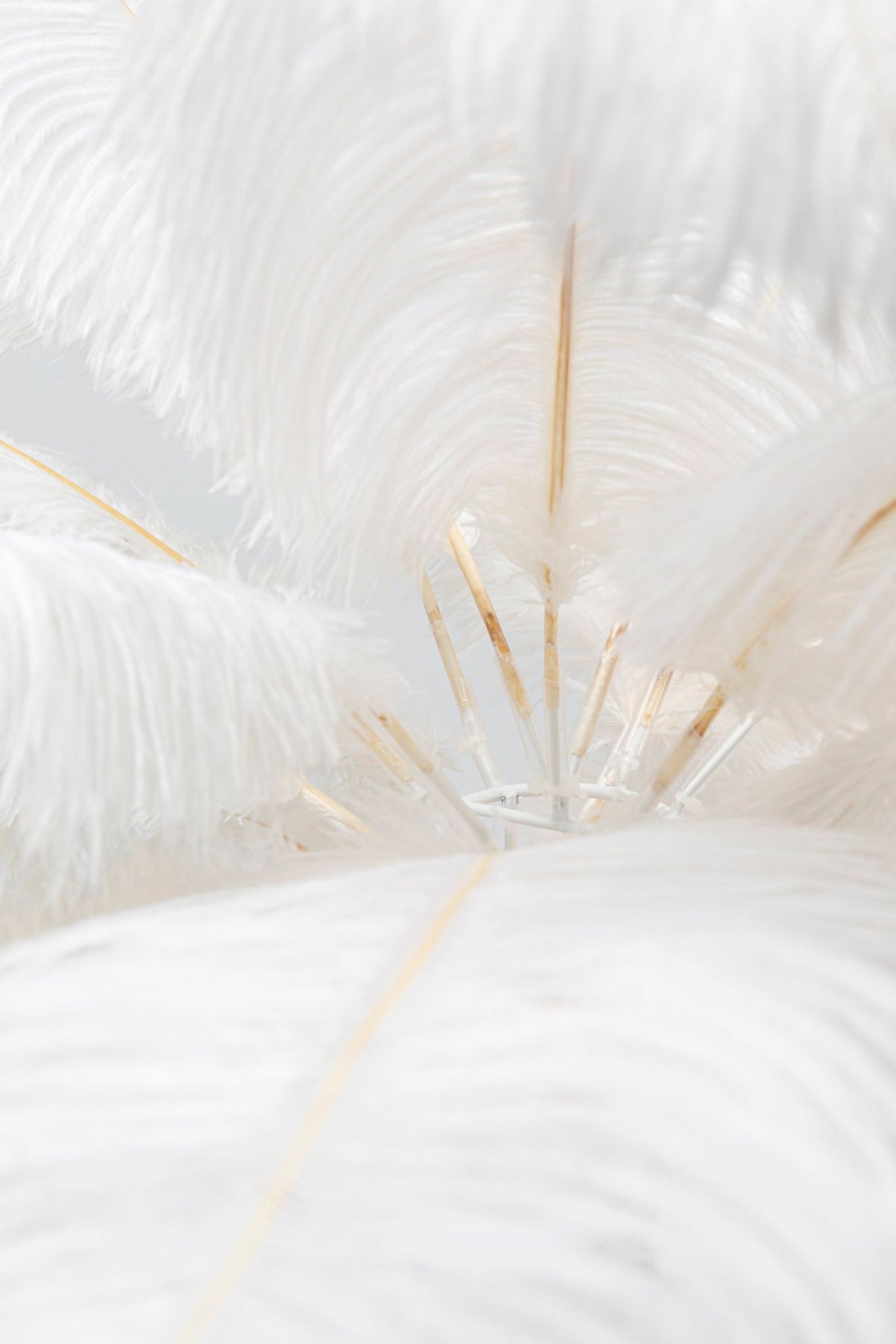 Feather Palm Table Lamp