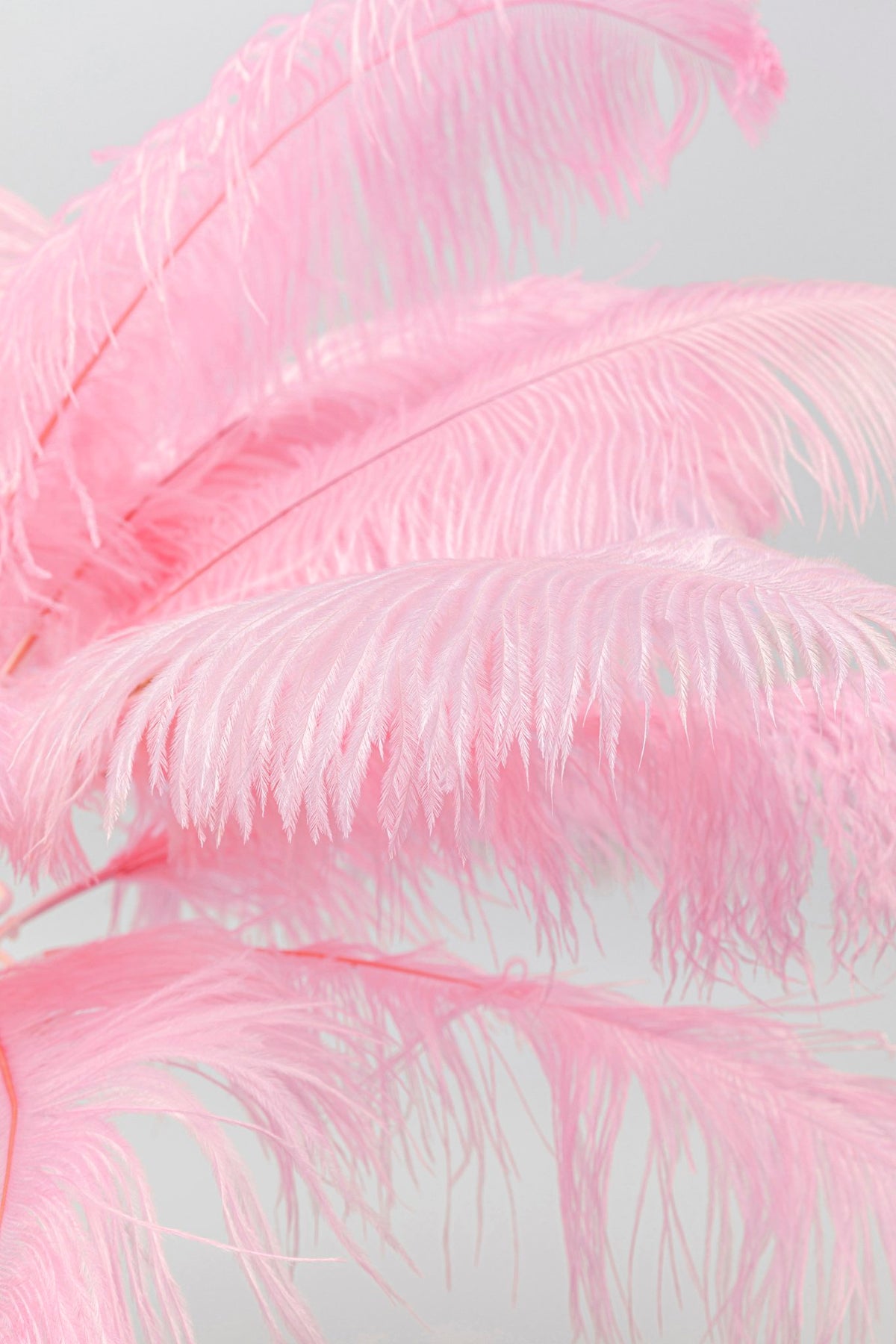 Feather Palm Table Lamp