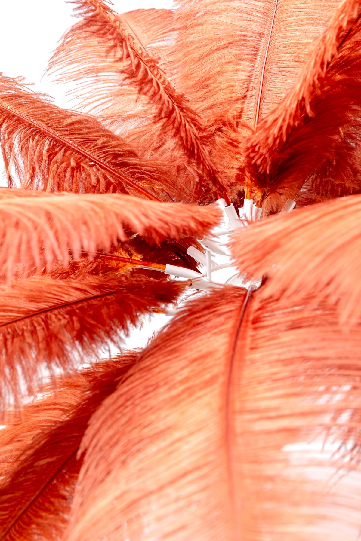 Feather Palm Table Lamp