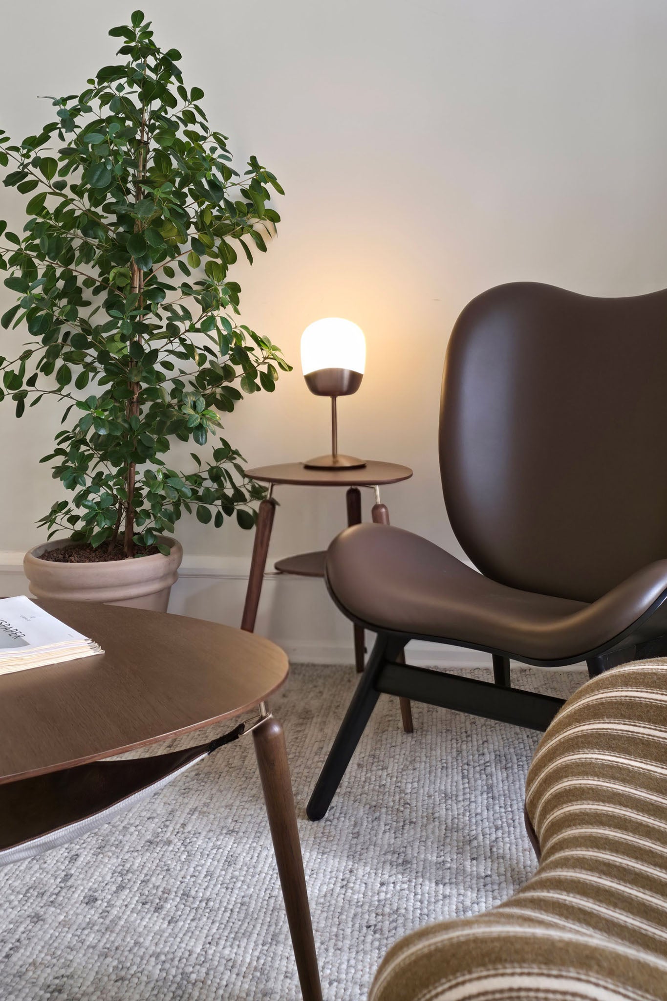 Spring Table Lamp