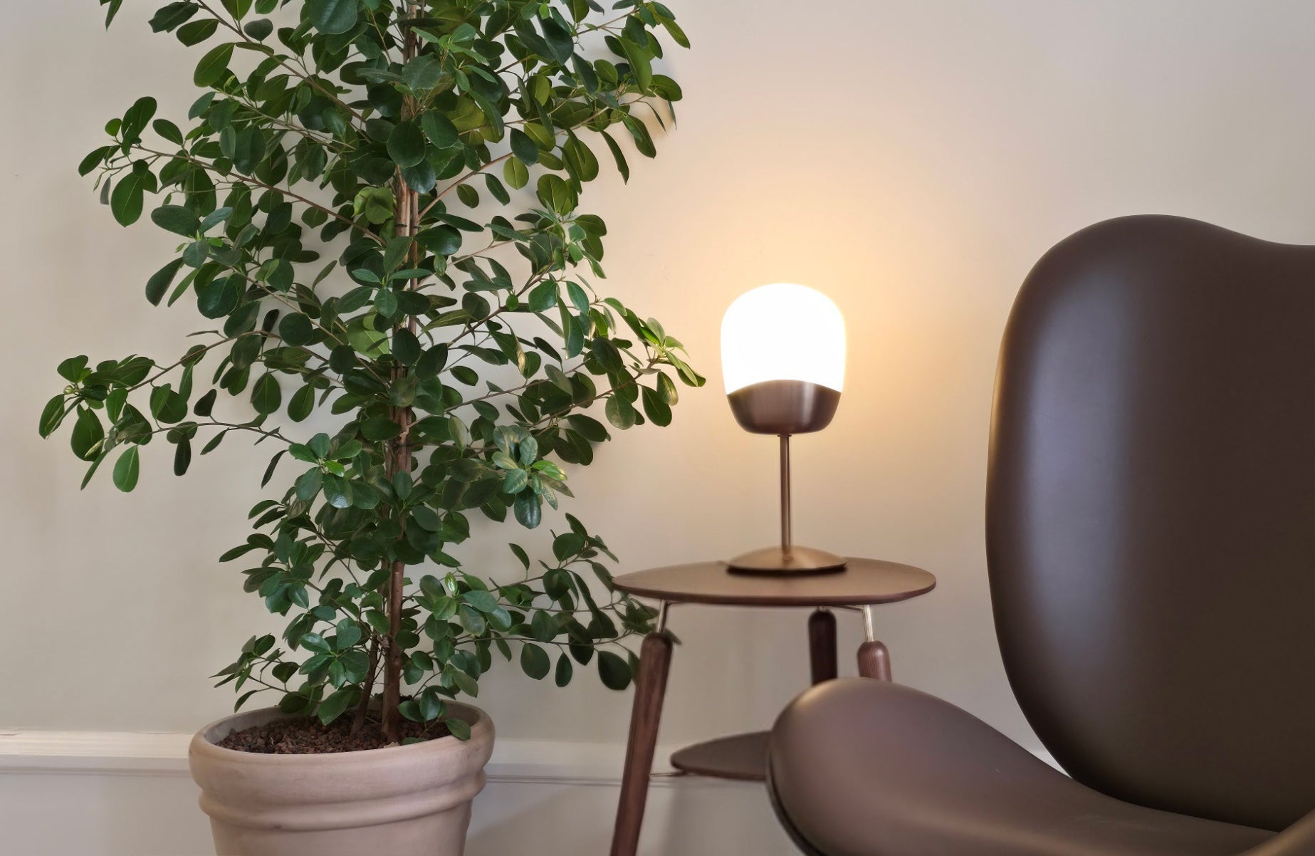 Spring Table Lamp