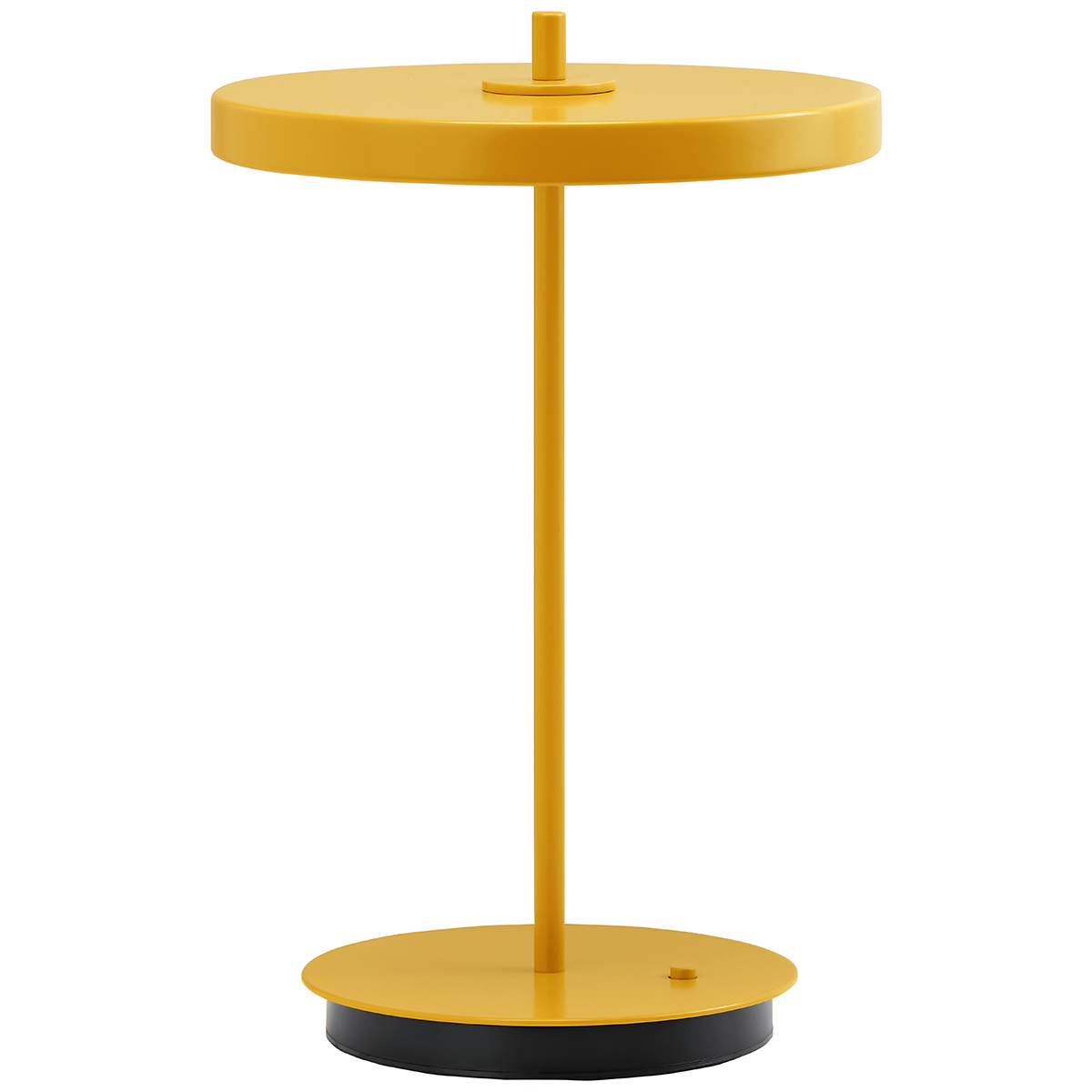 Asteria Move Monochrome Lamp