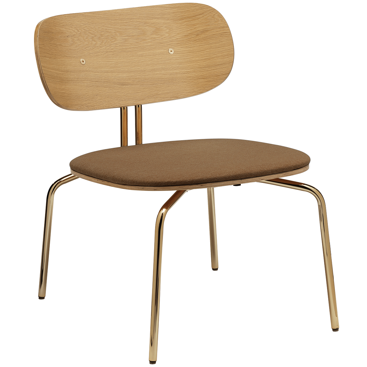 Curious Lounge Chair with Cushion