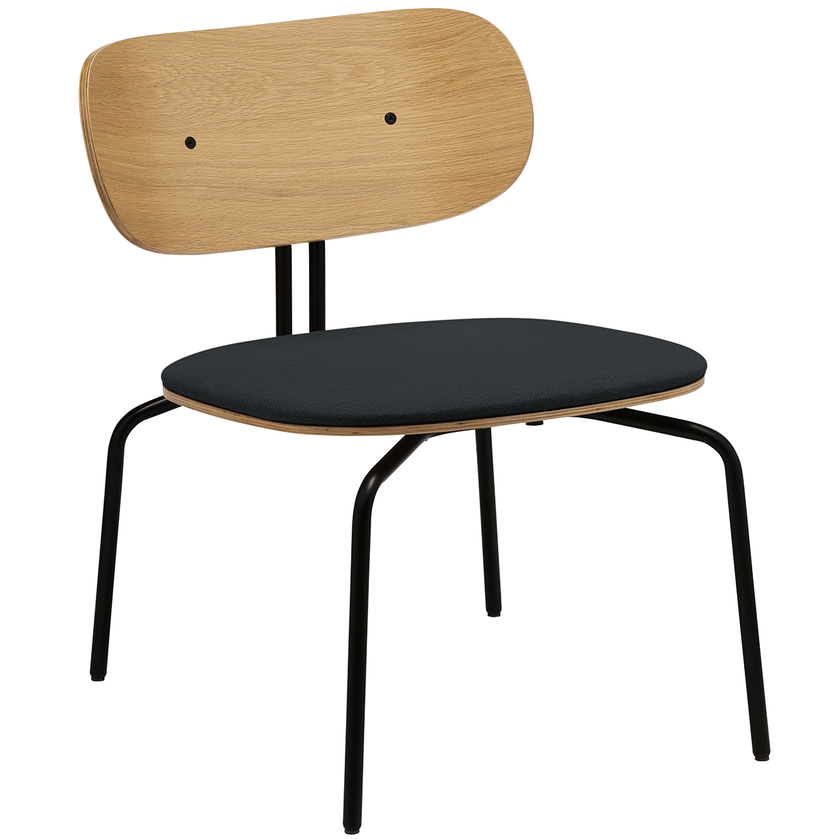 Curious Lounge Chair with Cushion