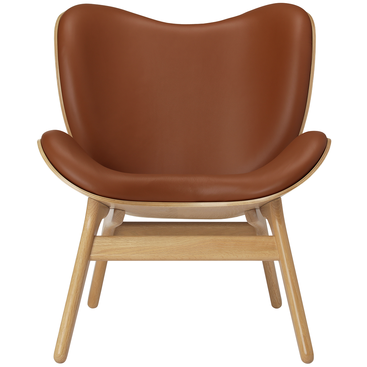 A Conversation Piece Leather Low Lounge Chair - WOO .Design