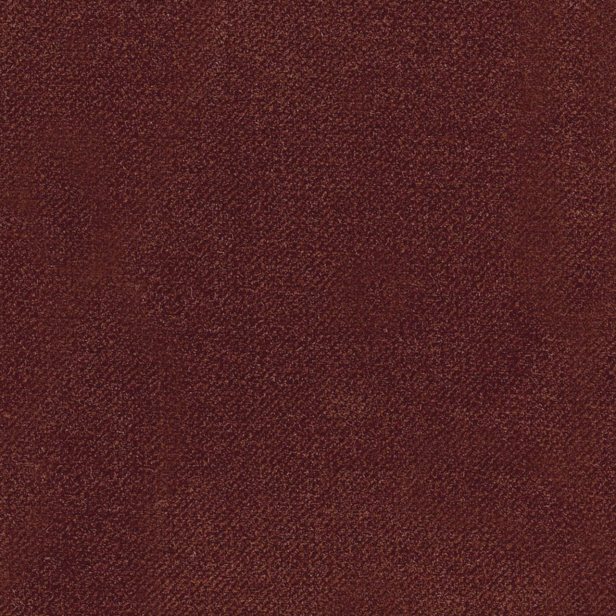 Mojo Cushion