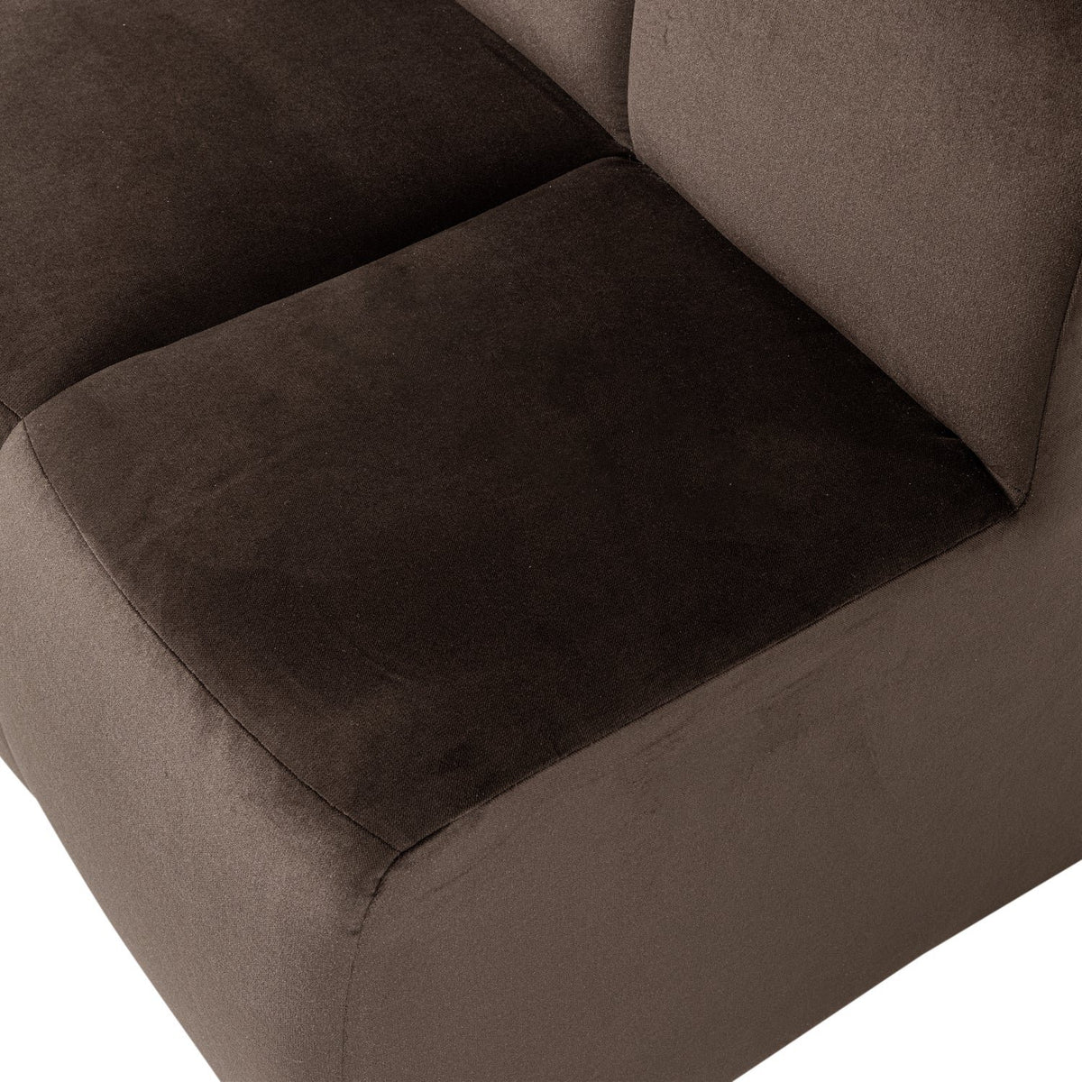 Mojo Dining Bench with Backrest