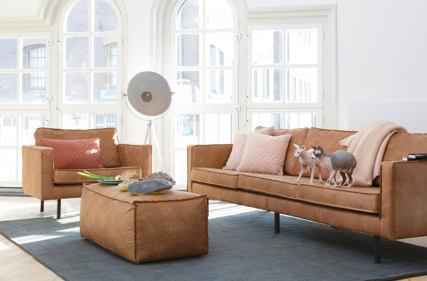 Rodeo Armchair
