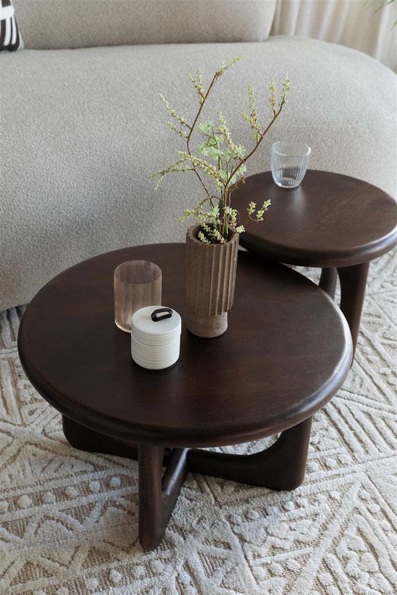 Jani Coffee Table