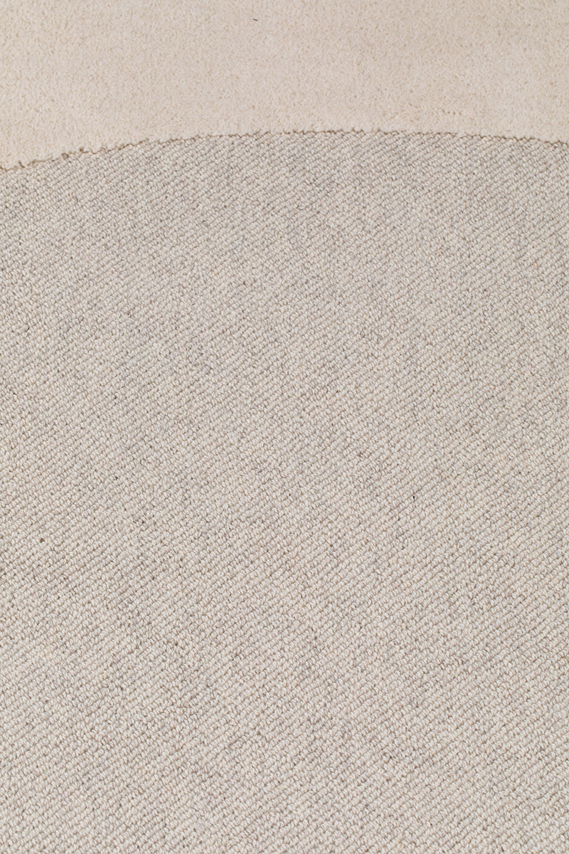 Dream Carpet