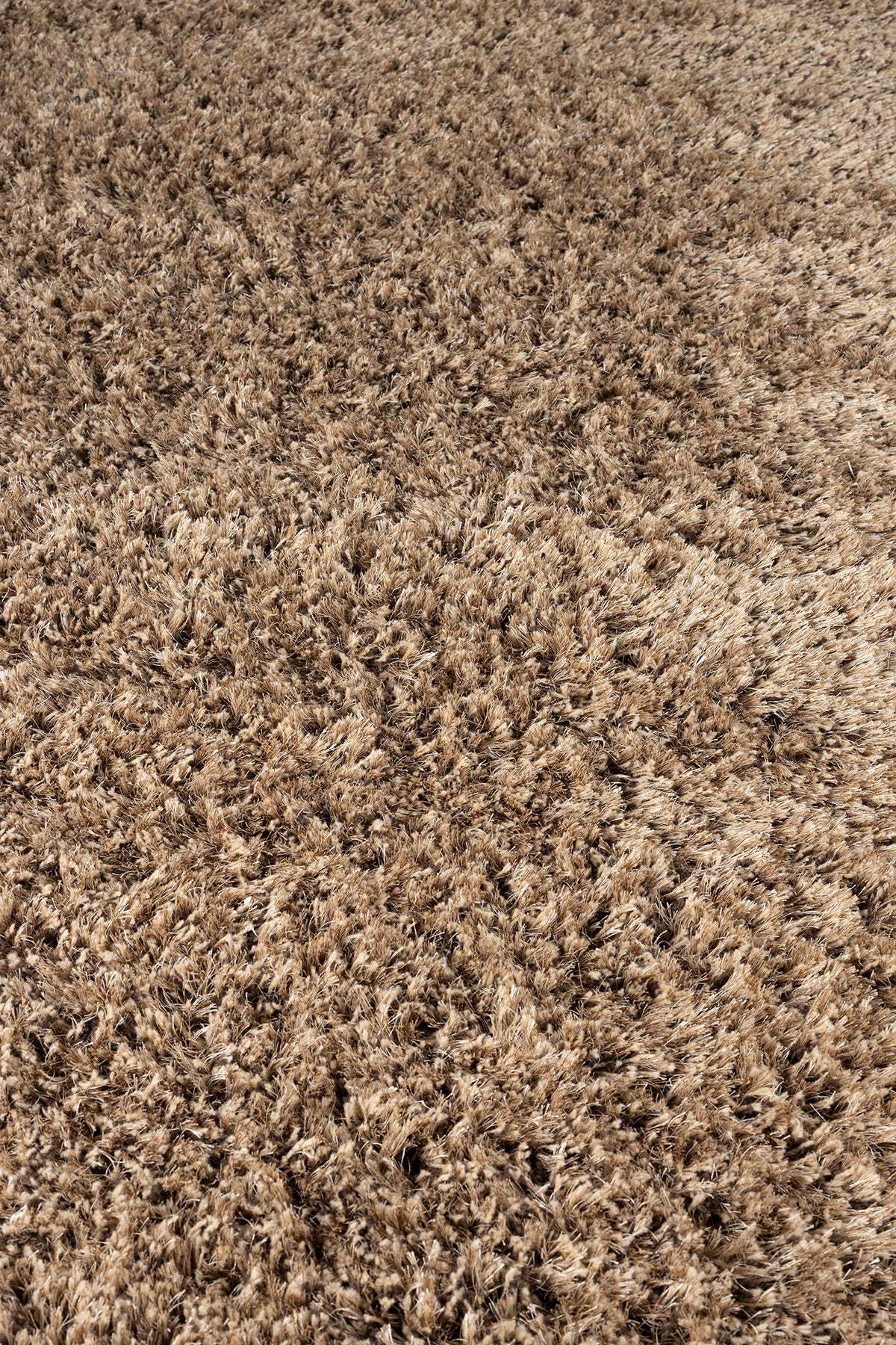 Tasty Carpet