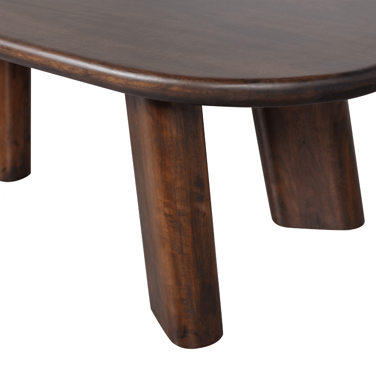 Roundly Mango Wood Coffee Table