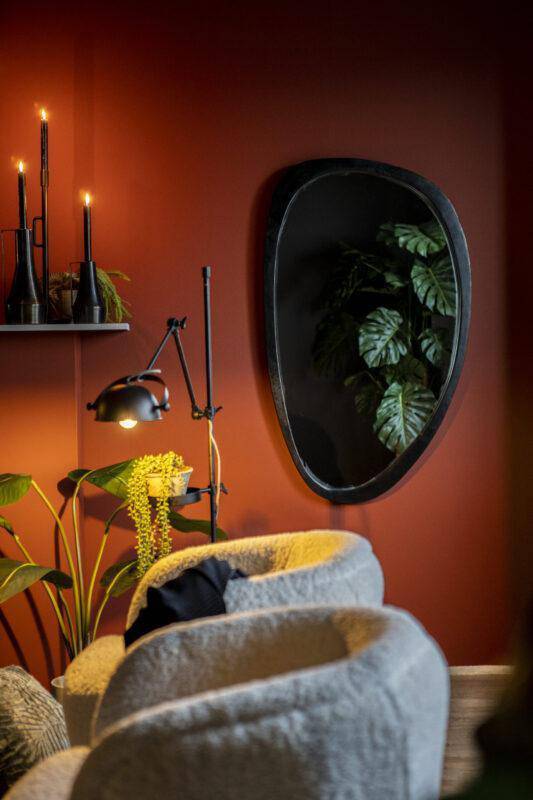 Plecto Mirror