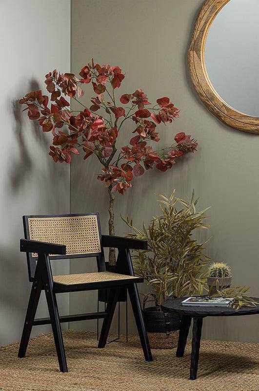 Gunn Pine/Rattan Dining Chair