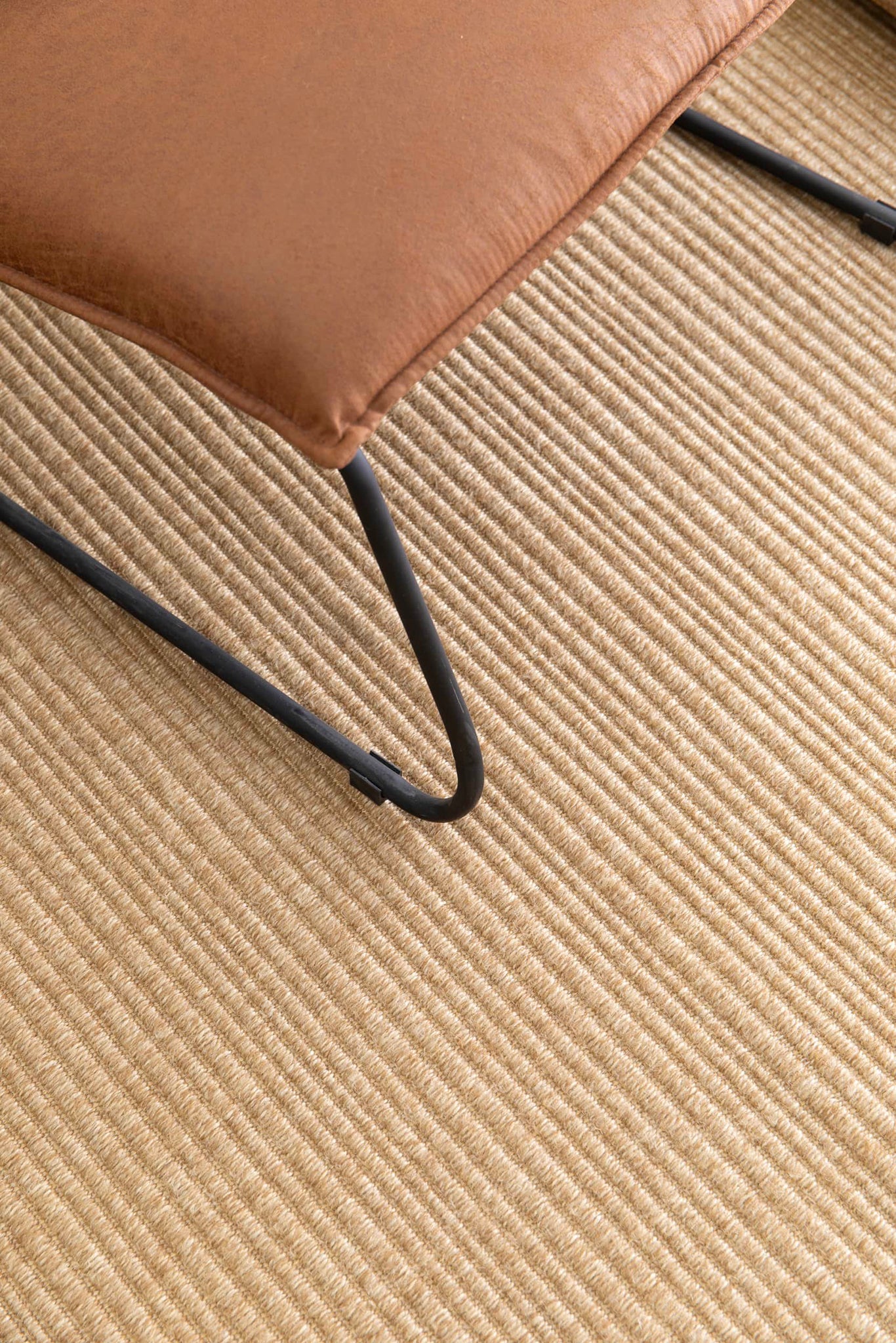 Oasis Carpet