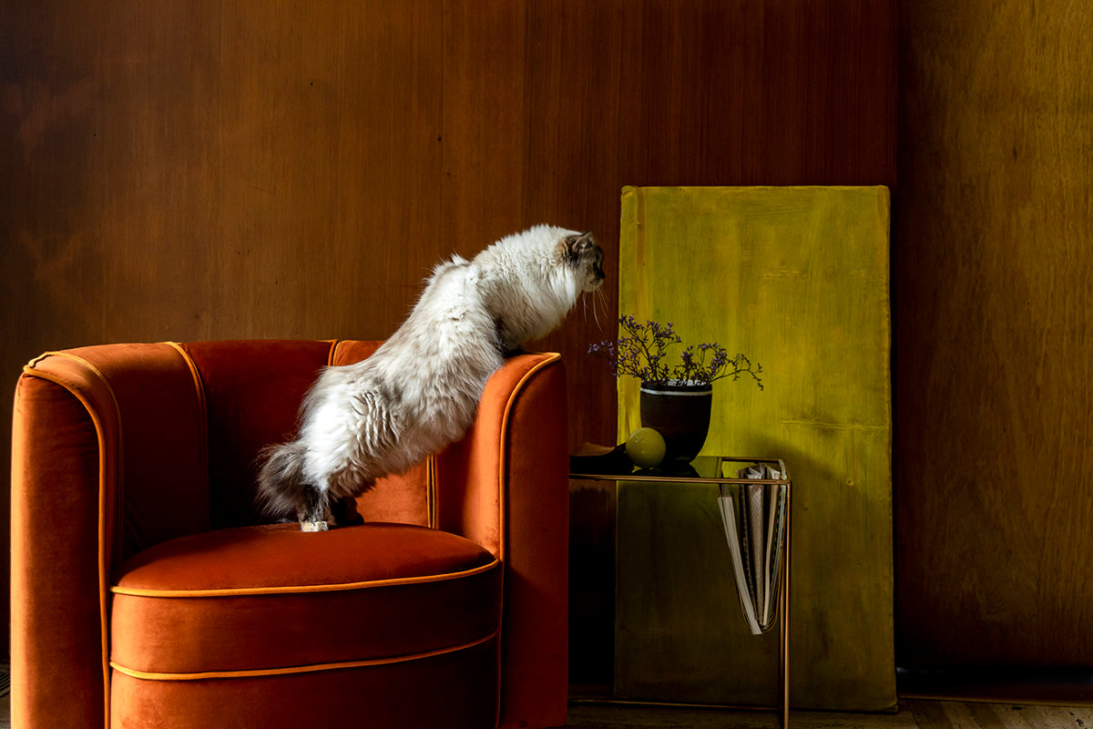 Flower Orange Lounge Chair