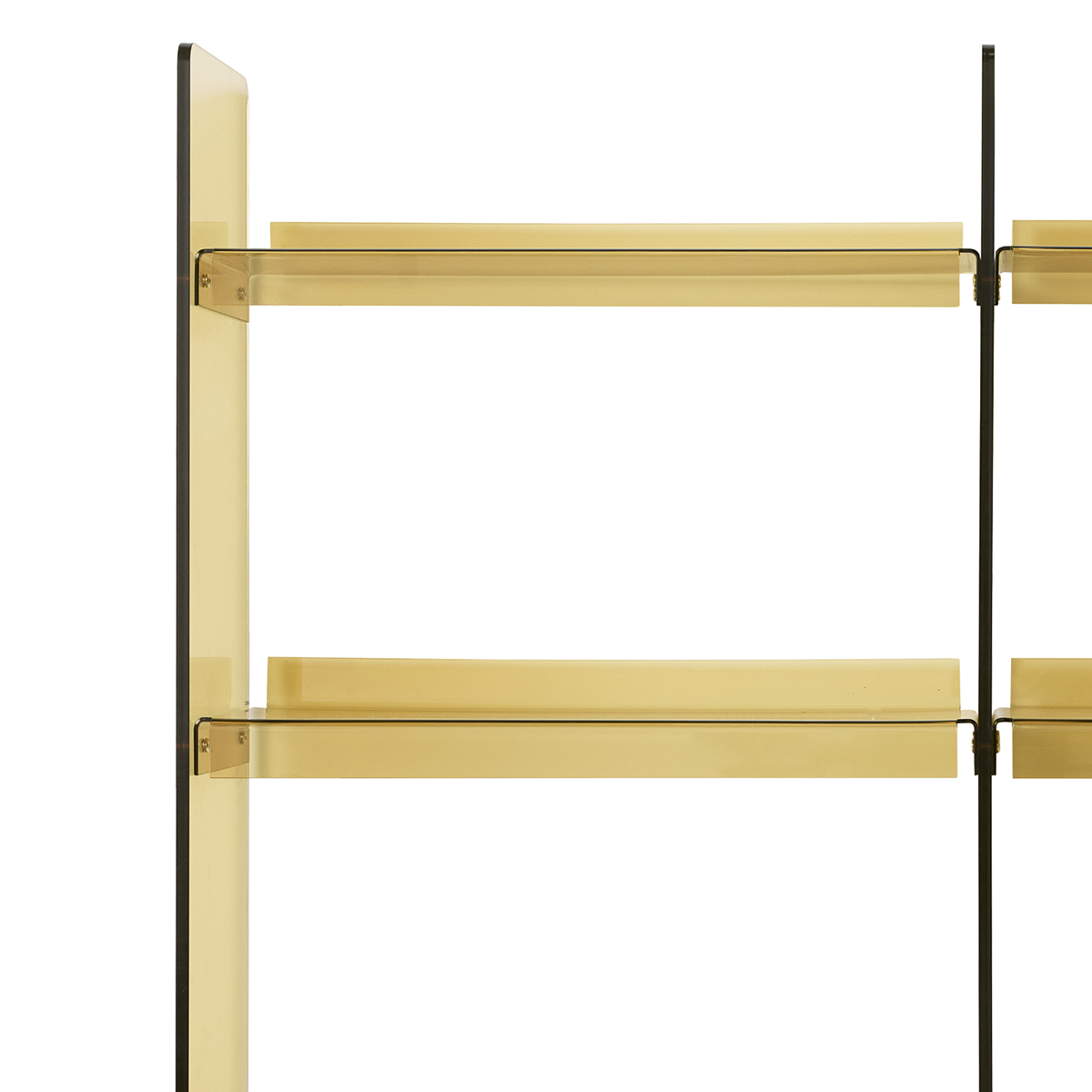 Acrylic Cabinet