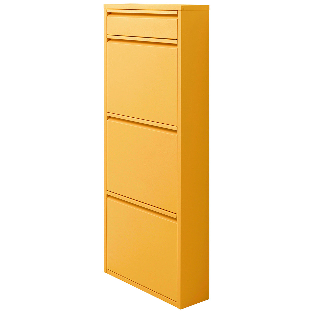 Caruso 3 Plus 1 Shoe Container