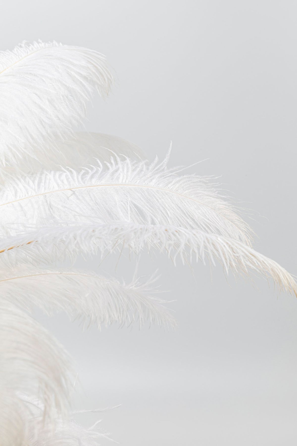 Feather Palm Table Lamp