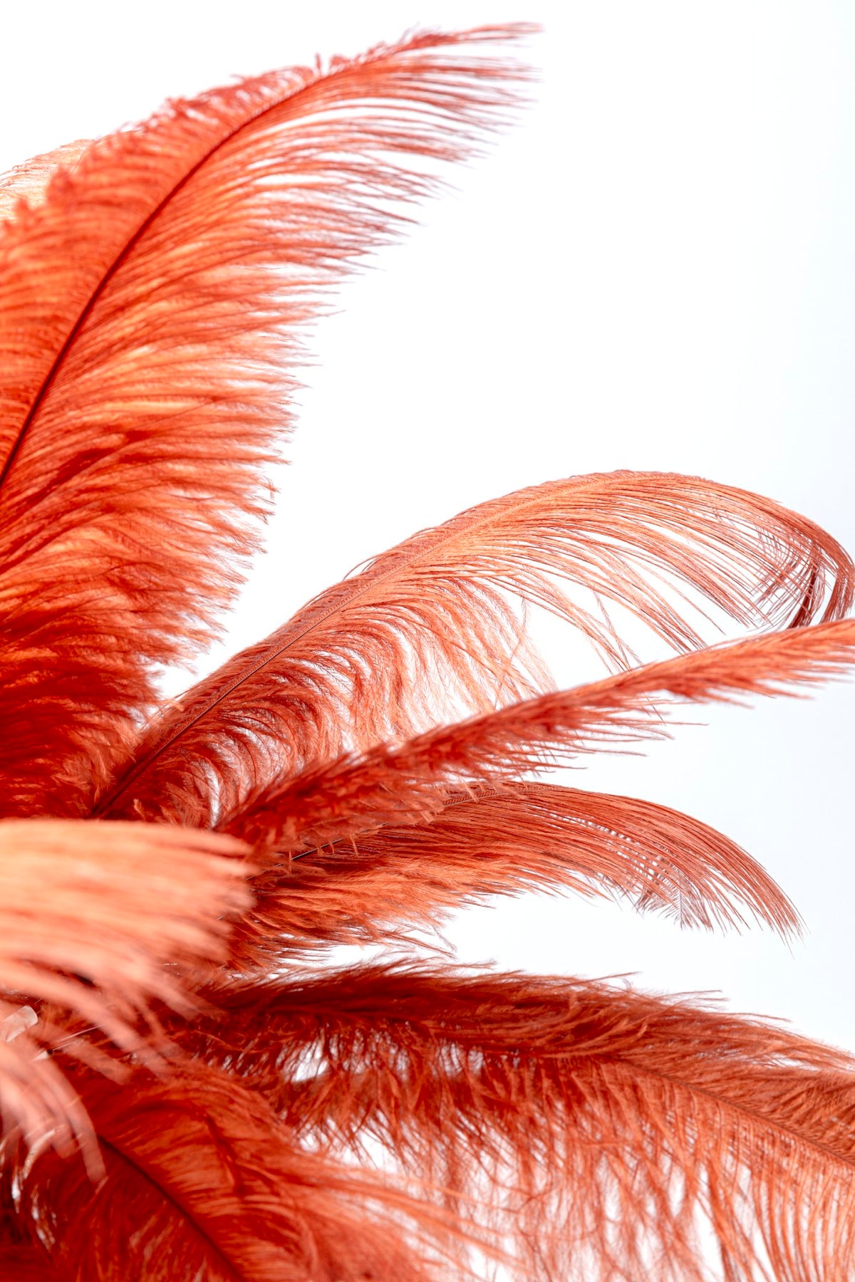 Feather Palm Table Lamp