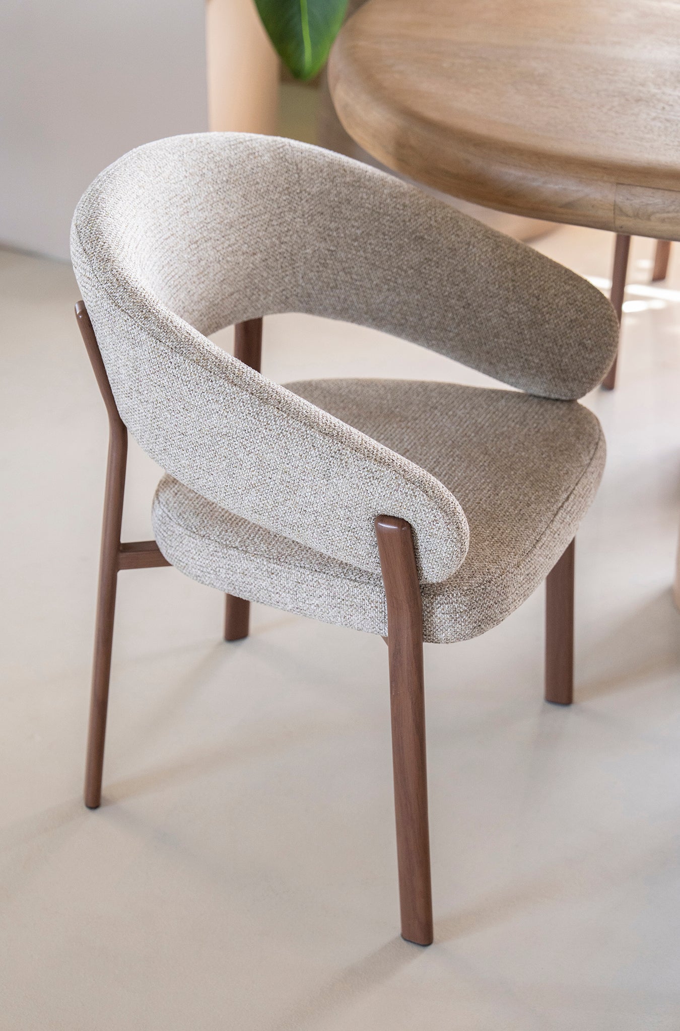 Sedia Chair with Armrest