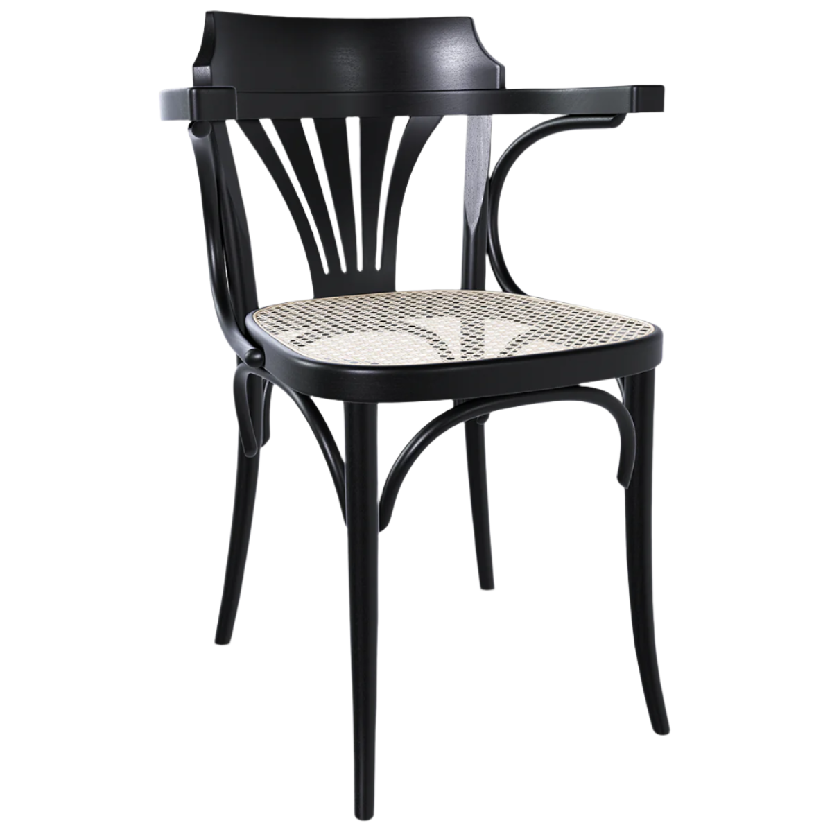 24 Cane/Mesh Armchair