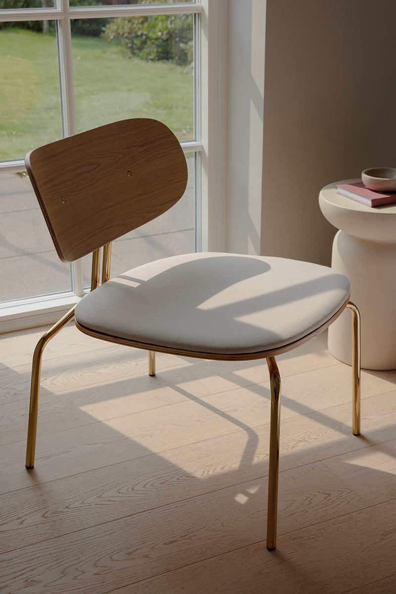 Curious Lounge Chair with Cushion