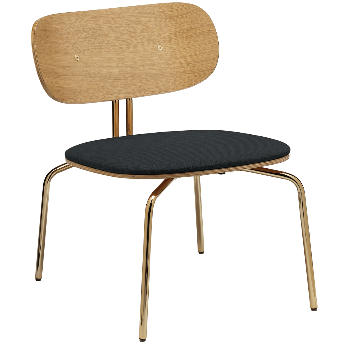 Curious Lounge Chair with Cushion