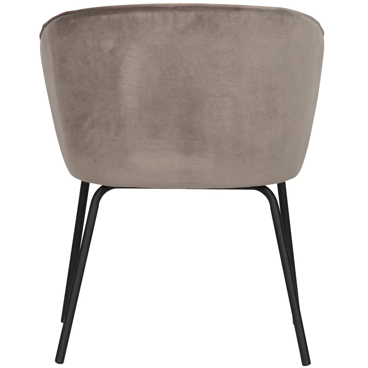 Admit Dining Chair
