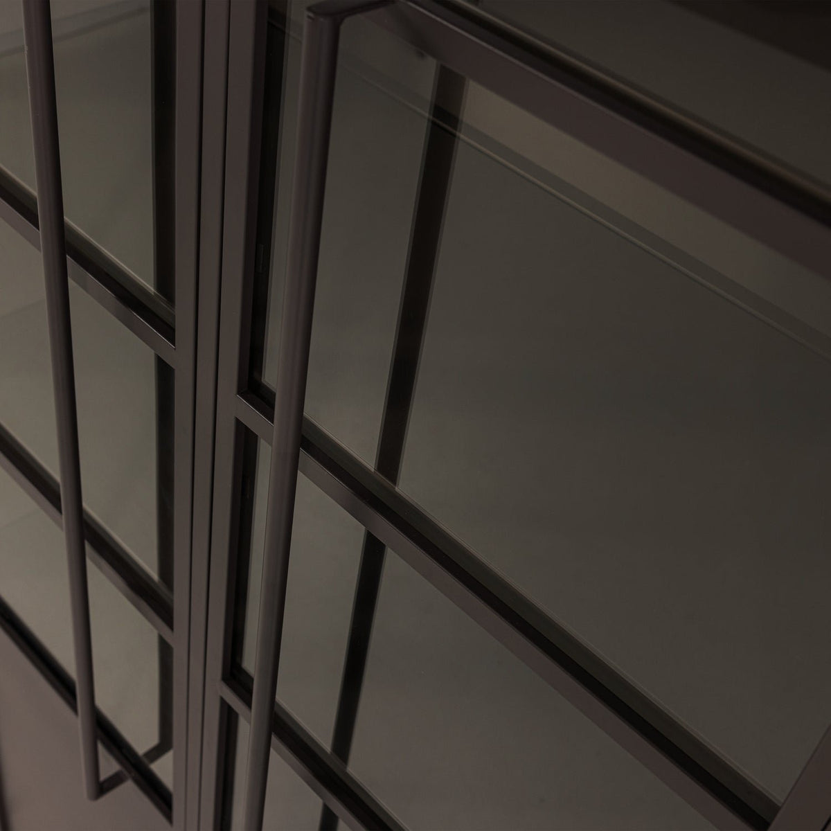 Exhibit 2 Doors Cabinet