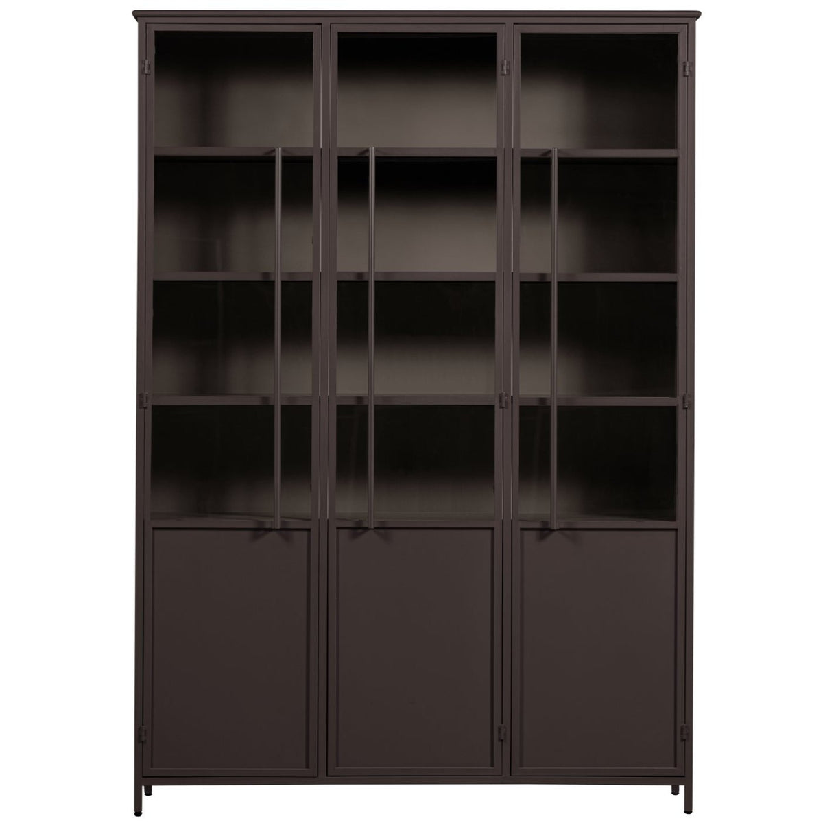 Exhibit 3 Doors Cabinet