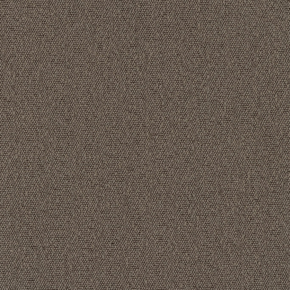 Statement Armchair