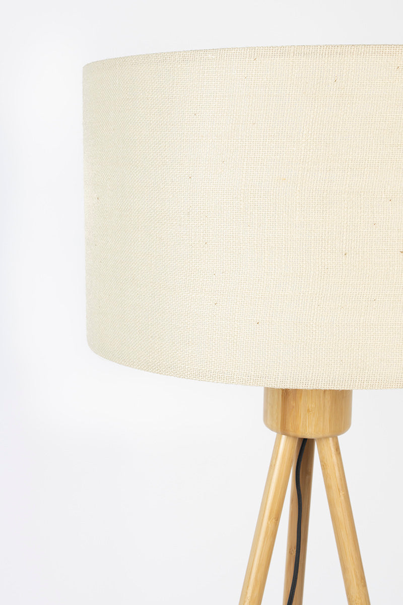 Fan Floor Lamp