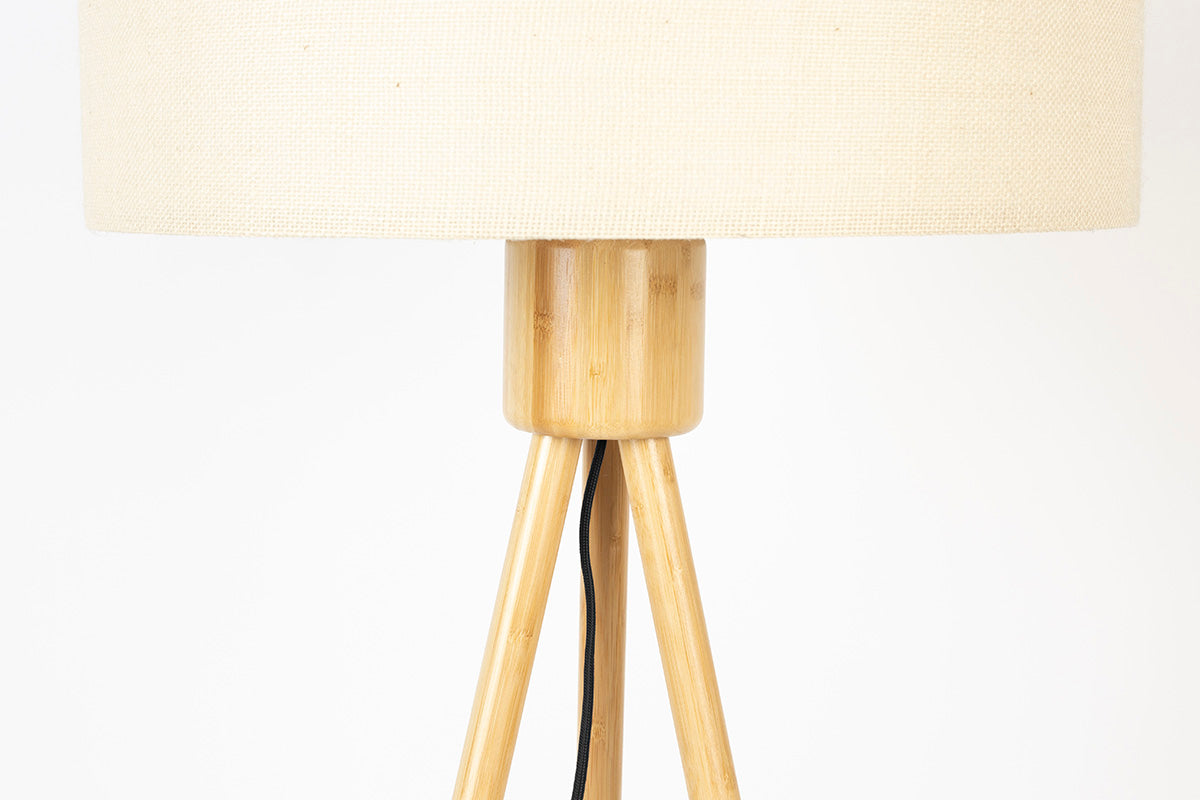 Fan Floor Lamp